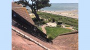 Pigeon Proofing Solar Panels